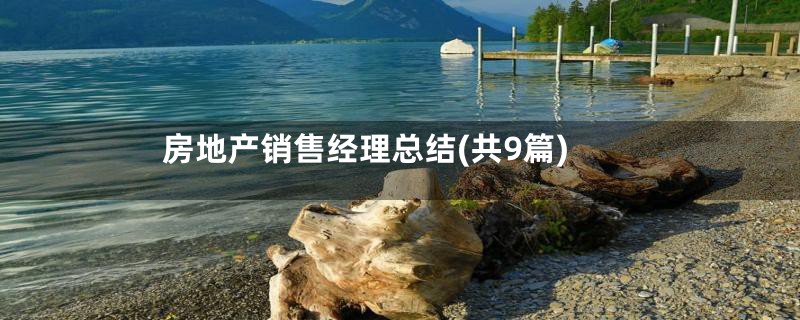 房地产销售经理总结(共9篇)