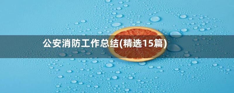 公安消防工作总结(精选15篇)