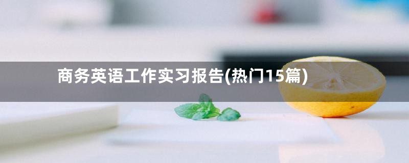 商务英语工作实习报告(热门15篇)