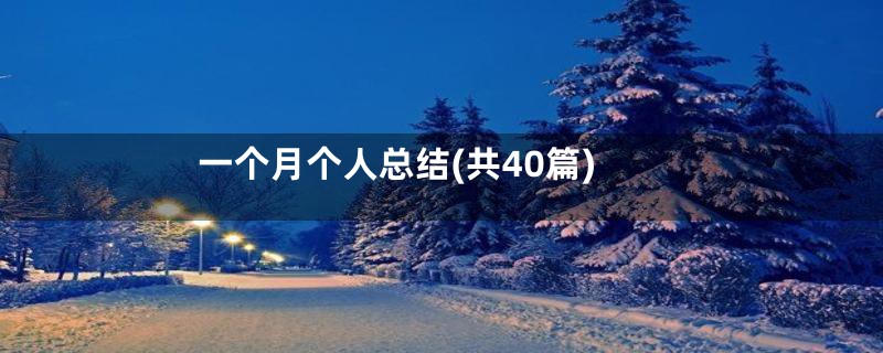 一个月个人总结(共40篇)