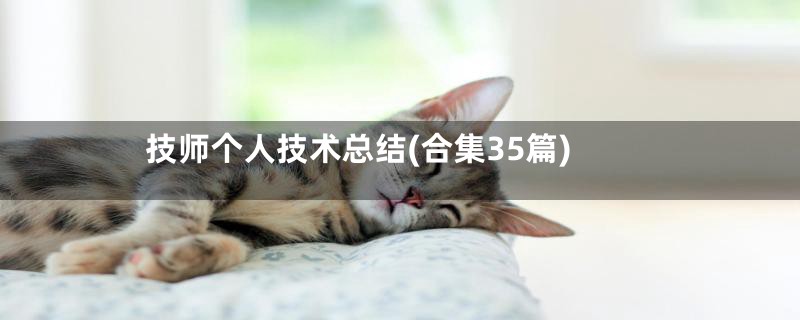 技师个人技术总结(合集35篇)