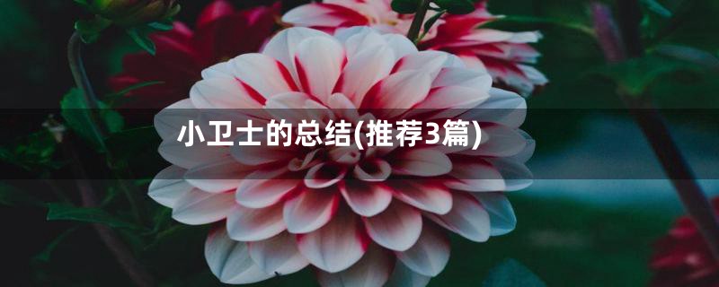 小卫士的总结(推荐3篇)