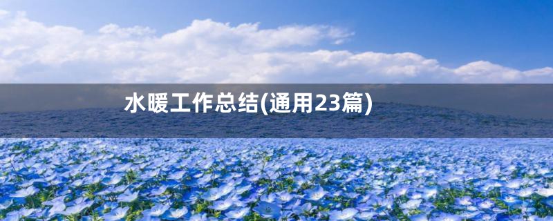 水暖工作总结(通用23篇)