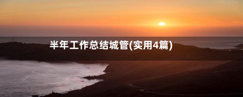 半年工作总结城管(实用4篇)
