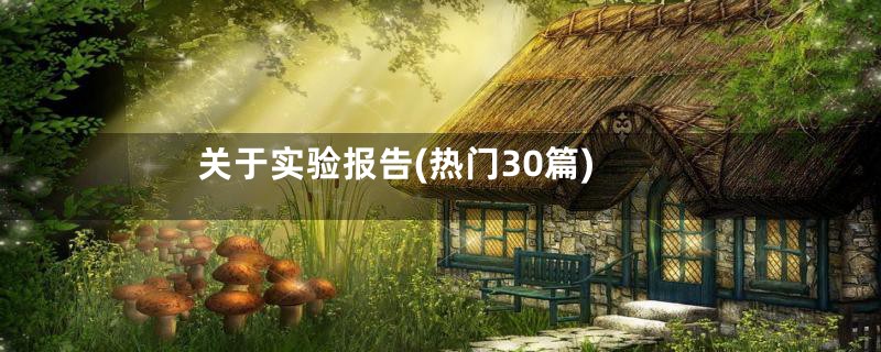 关于实验报告(热门30篇)
