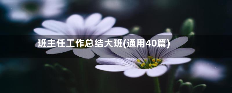 班主任工作总结大班(通用40篇)