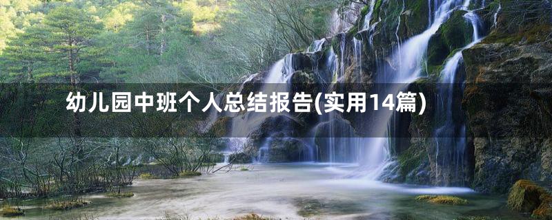 幼儿园中班个人总结报告(实用14篇)