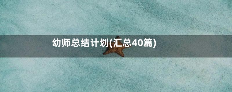 幼师总结计划(汇总40篇)
