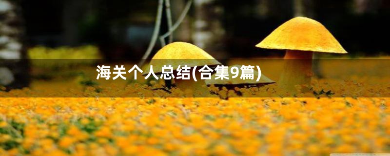 海关个人总结(合集9篇)