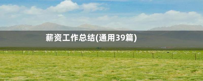 薪资工作总结(通用39篇)