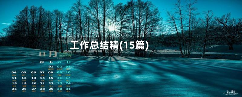 工作总结精(15篇)