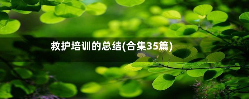 救护培训的总结(合集35篇)