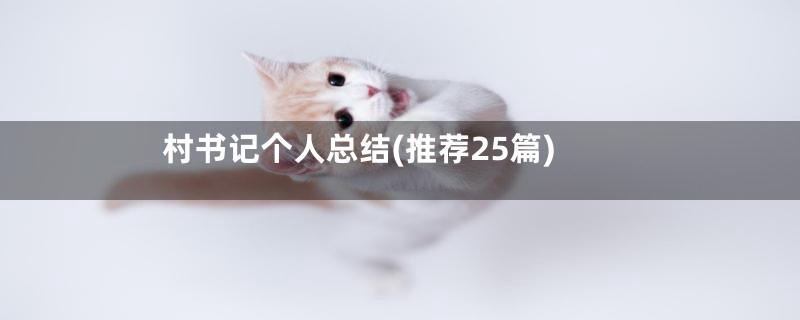 村书记个人总结(推荐25篇)