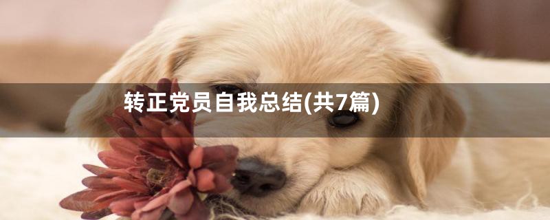 转正党员自我总结(共7篇)