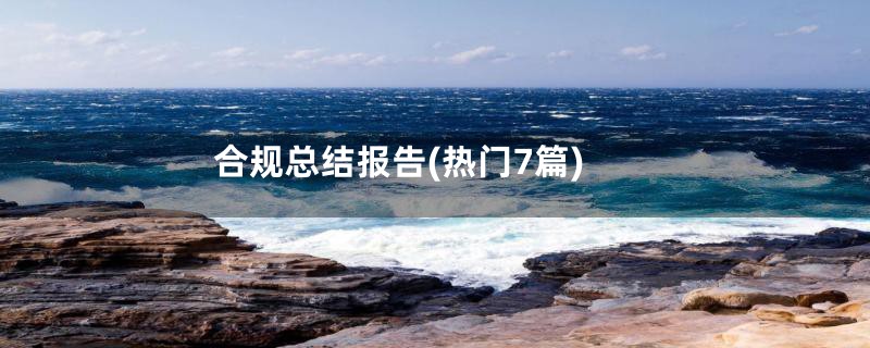 合规总结报告(热门7篇)