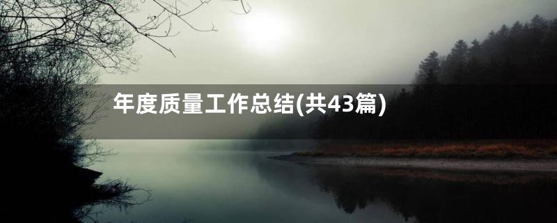 年度质量工作总结(共43篇)