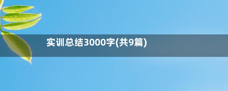 实训总结3000字(共9篇)