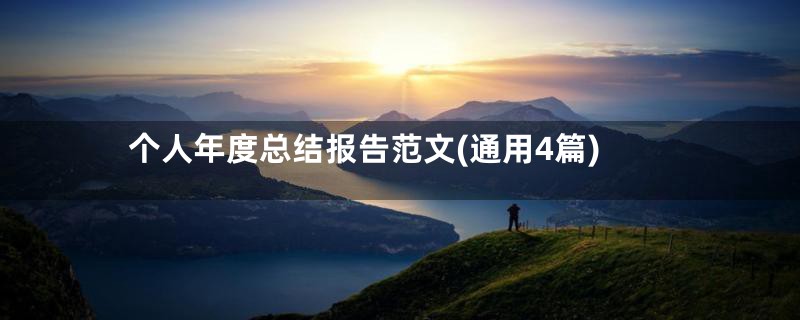 个人年度总结报告范文(通用4篇)