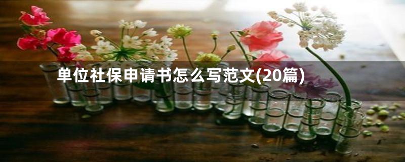 单位社保申请书怎么写范文(20篇)