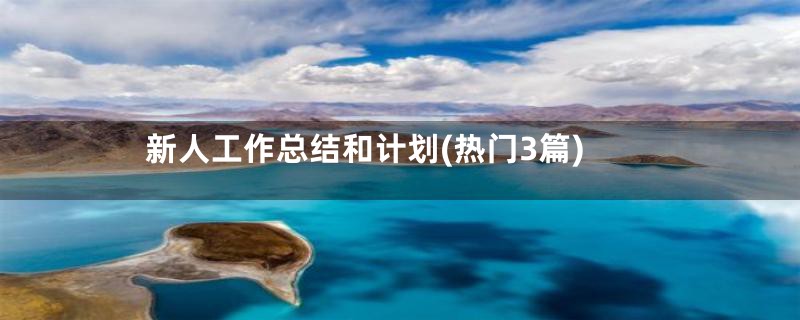 新人工作总结和计划(热门3篇)