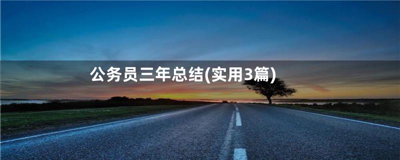 公务员三年总结(实用3篇)