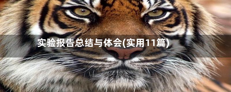 实验报告总结与体会(实用11篇)