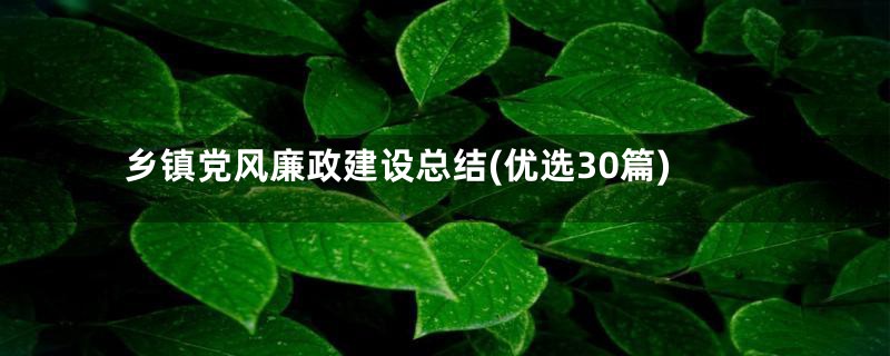 乡镇党风廉政建设总结(优选30篇)