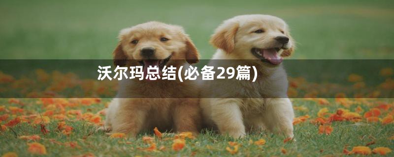 沃尔玛总结(必备29篇)