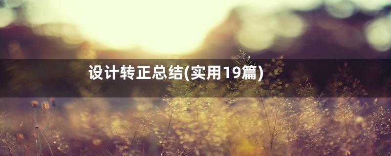 设计转正总结(实用19篇)