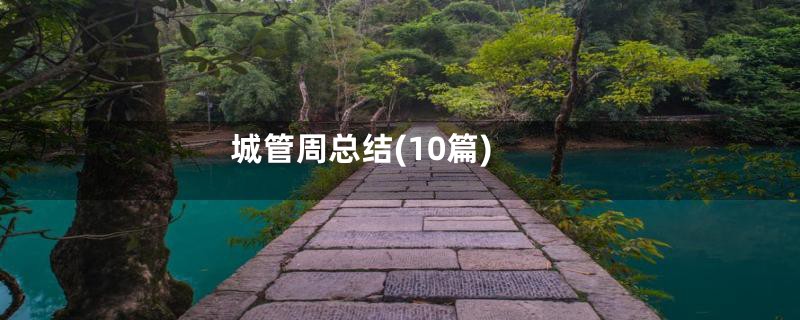 城管周总结(10篇)