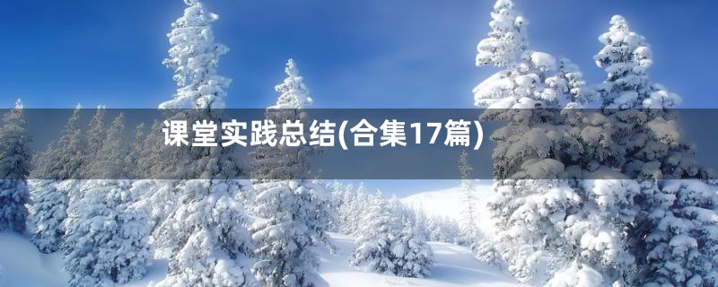 课堂实践总结(合集17篇)