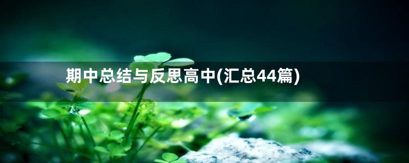 期中总结与反思高中(汇总44篇)