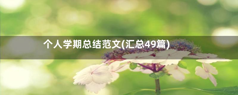 个人学期总结范文(汇总49篇)