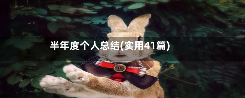 半年度个人总结(实用41篇)