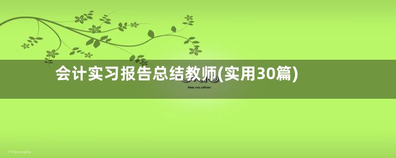 会计实习报告总结教师(实用30篇)