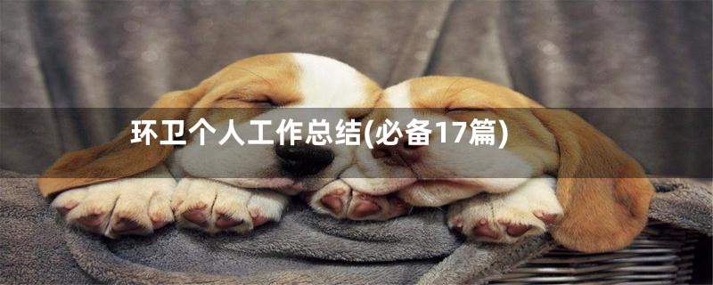 环卫个人工作总结(必备17篇)