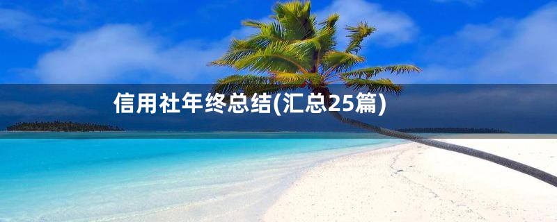 信用社年终总结(汇总25篇)