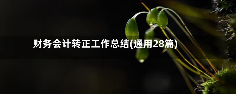 财务会计转正工作总结(通用28篇)