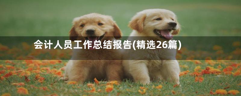会计人员工作总结报告(精选26篇)