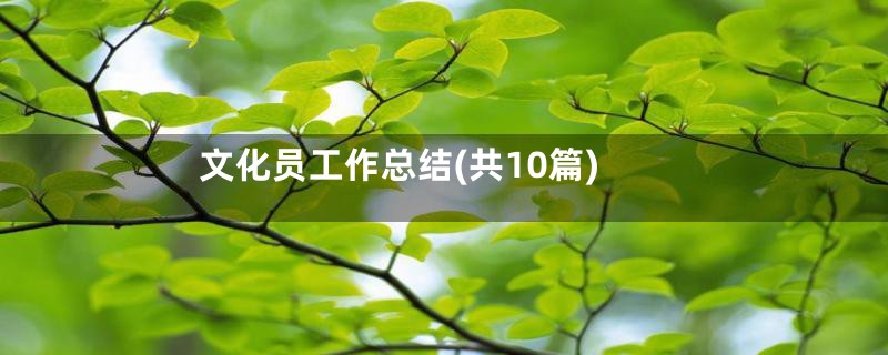 文化员工作总结(共10篇)