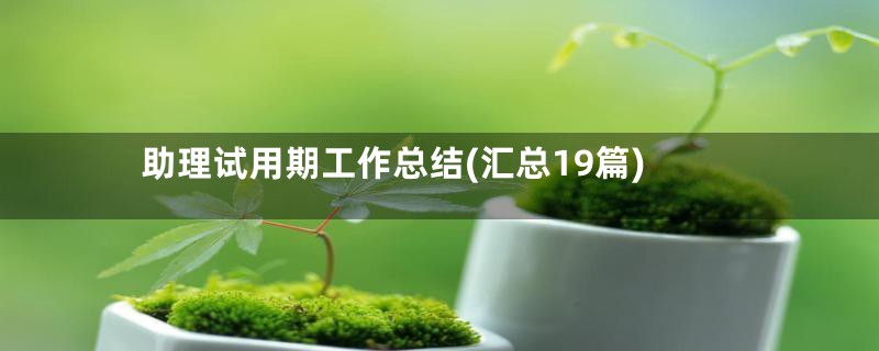 助理试用期工作总结(汇总19篇)