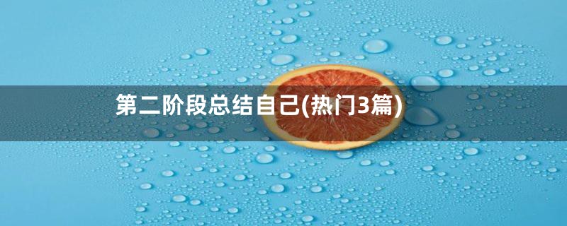 第二阶段总结自己(热门3篇)