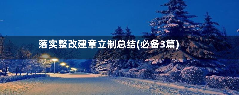 落实整改建章立制总结(必备3篇)