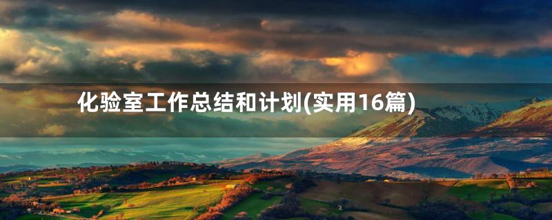 化验室工作总结和计划(实用16篇)