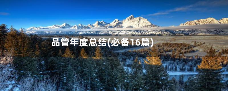品管年度总结(必备16篇)