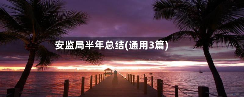 安监局半年总结(通用3篇)