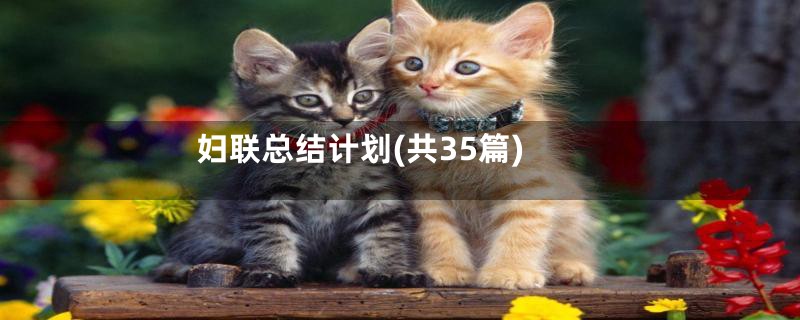 妇联总结计划(共35篇)