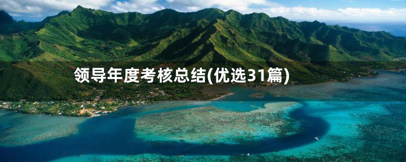 领导年度考核总结(优选31篇)