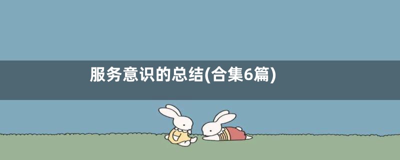 服务意识的总结(合集6篇)