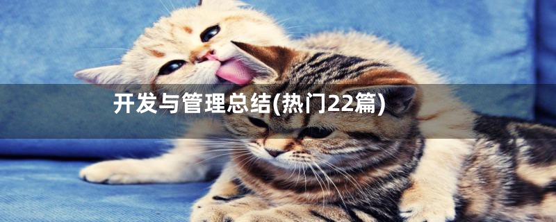 开发与管理总结(热门22篇)